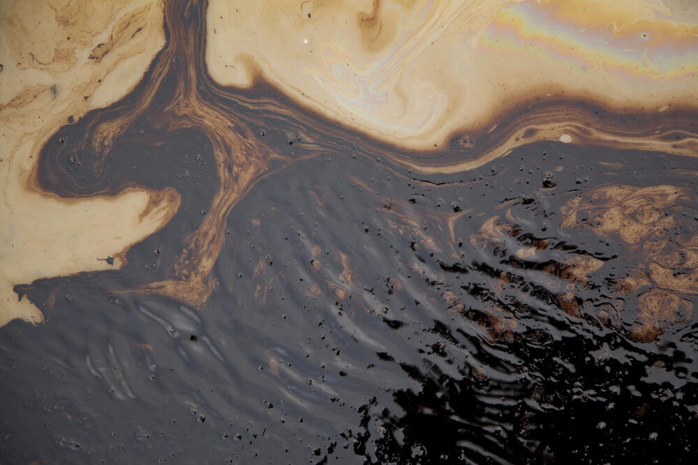 В ЗКО на берегу Урала нашли свалку нефтеотходов