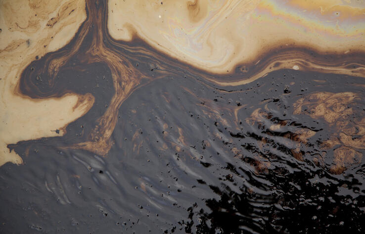 В ЗКО на берегу Урала нашли свалку нефтеотходов