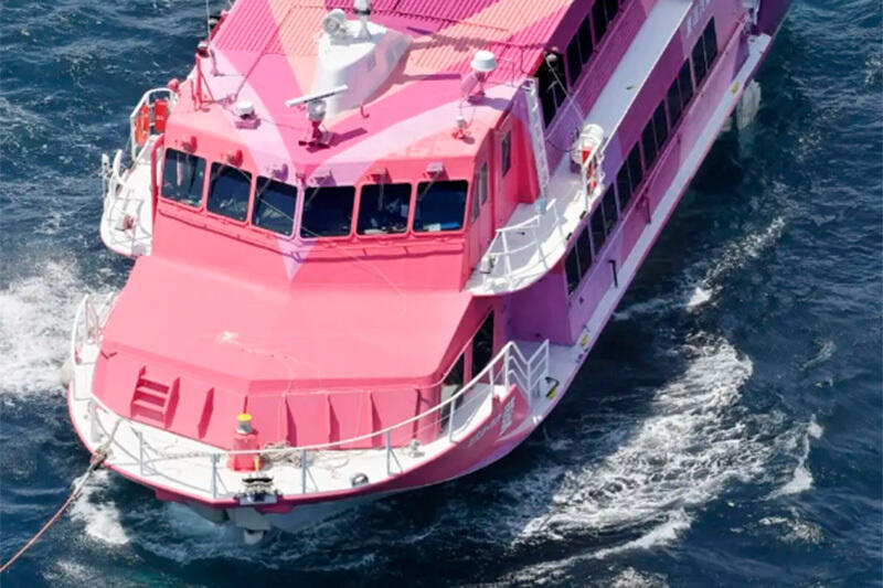 Ferry with over 100 passengers went adrift in waters south of Tokyo