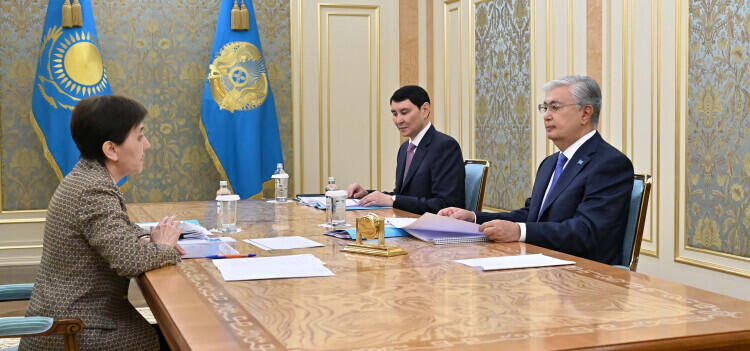 Head of State Tokayev presented with new approaches to social sphere financing