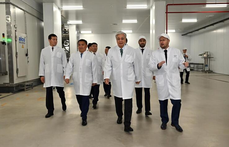 Head of State familiarizes with processed food production in Akmola region