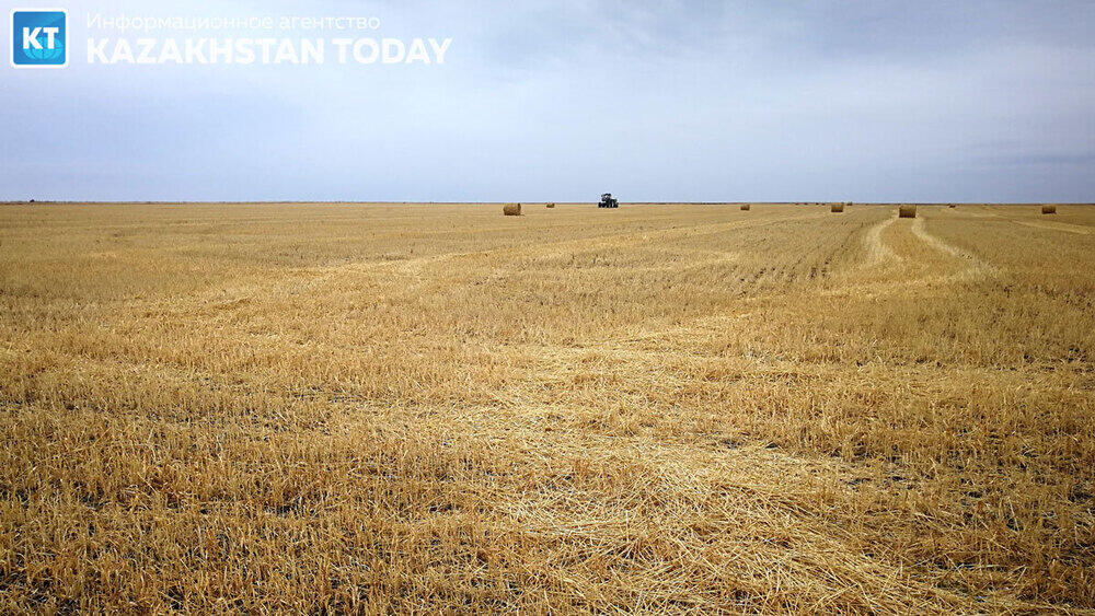 Serik Zhumangarin: Financing of spring field and harvesting works planned to reach 1 trillion tenge