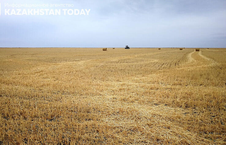 Serik Zhumangarin: Financing of spring field and harvesting works planned to reach 1 trillion tenge