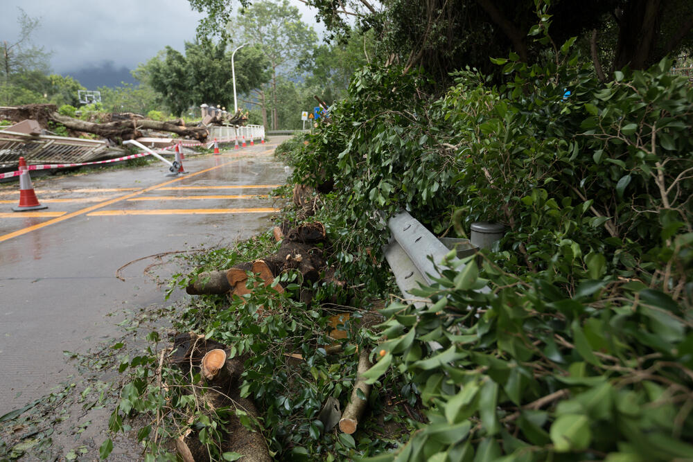 Typhoon Bebinca hits Shanghai, strongest storm since 1949