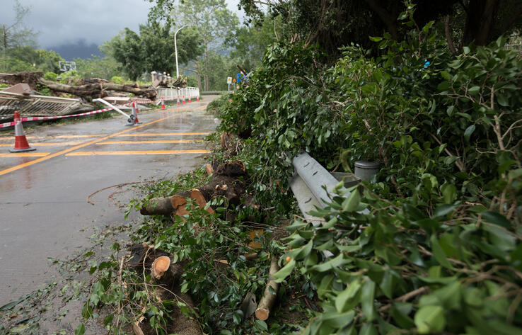 Typhoon Bebinca hits Shanghai, strongest storm since 1949