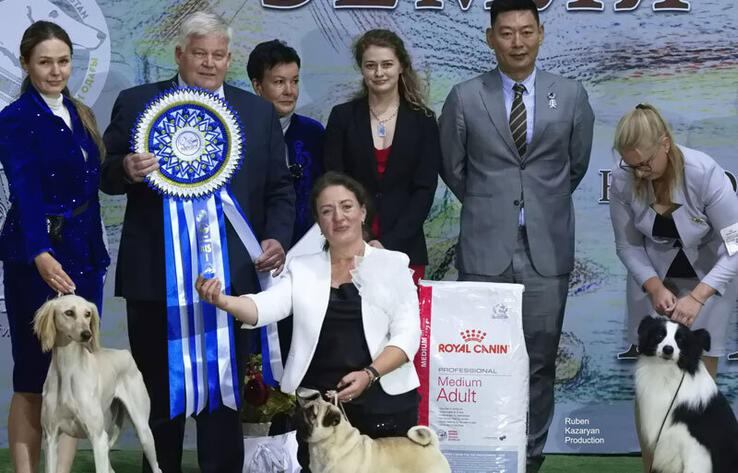 Kazakh Tazy breed gain international recognition