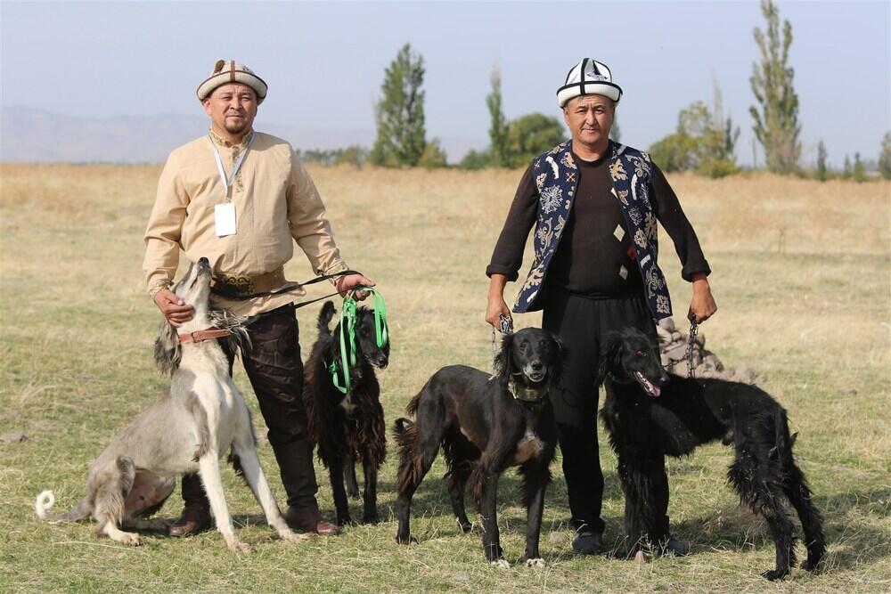 Festival of ethnic hunting, national games held in Kyrgyzstan