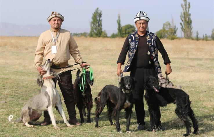 Festival of ethnic hunting, national games held in Kyrgyzstan