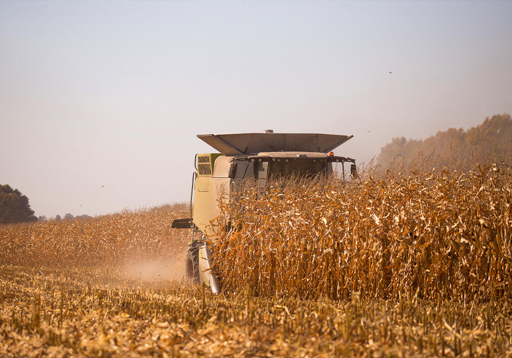 How harvest campaign been in regions of Kazakhstan