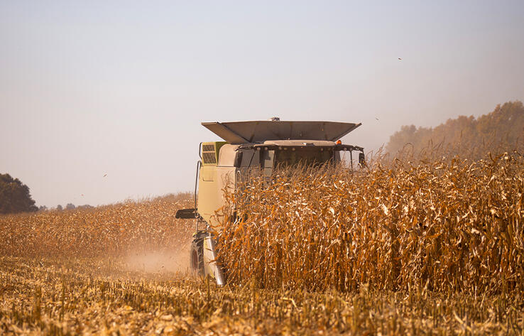 How harvest campaign been in regions of Kazakhstan