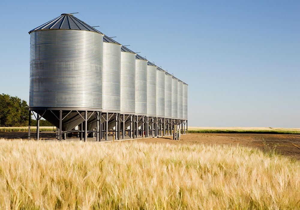 Results of harvesting campaign summed up in Government: 26.5 million tonnes of grain threshed