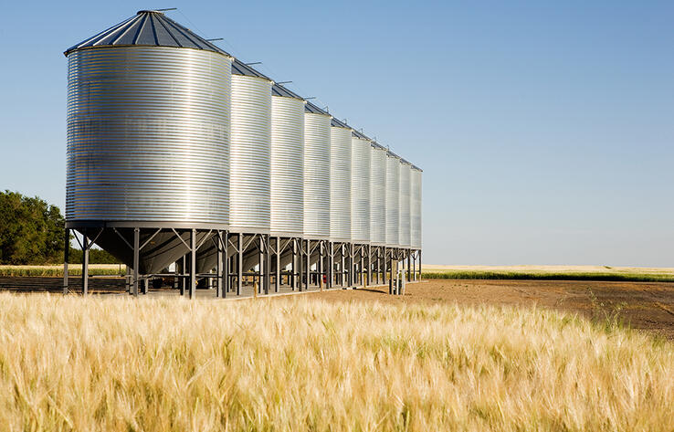 Results of harvesting campaign summed up in Government: 26.5 million tonnes of grain threshed