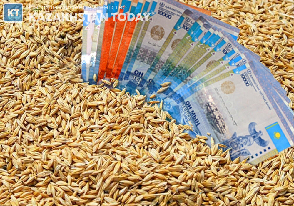 Kazakh Government to allocate KZT 10 bln to buy grain from farmers