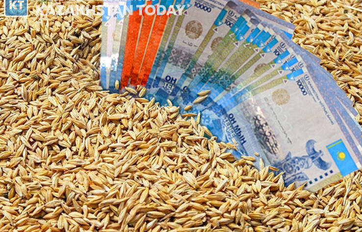 Kazakh Government to allocate KZT 10 bln to buy grain from farmers