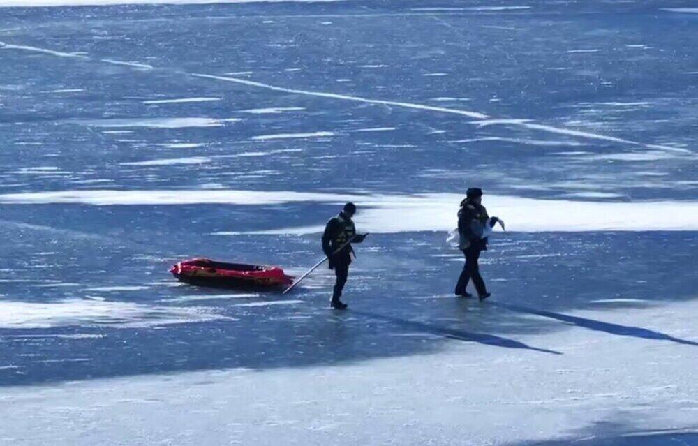 Wounded swan rescued in Aktobe region