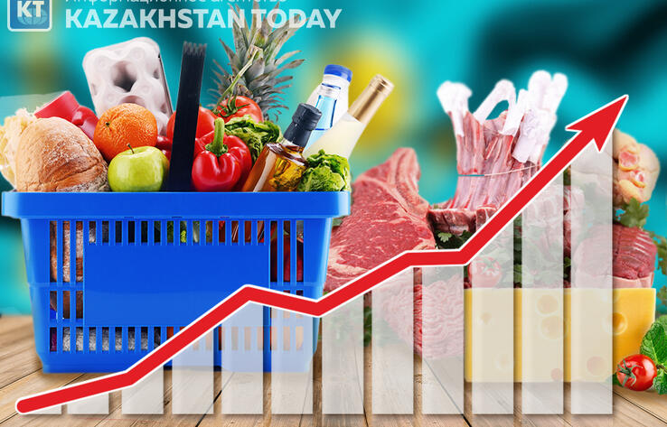 Gross agricultural output increased by 13.4% in Kazakhstan