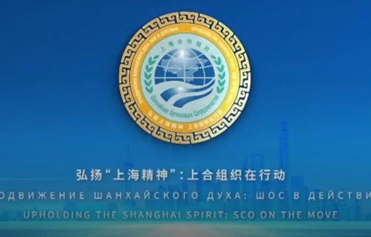 Китай в 2025 году будет следовать лозунгу "Продвижение Шанхайского духа: ШОС в действии"