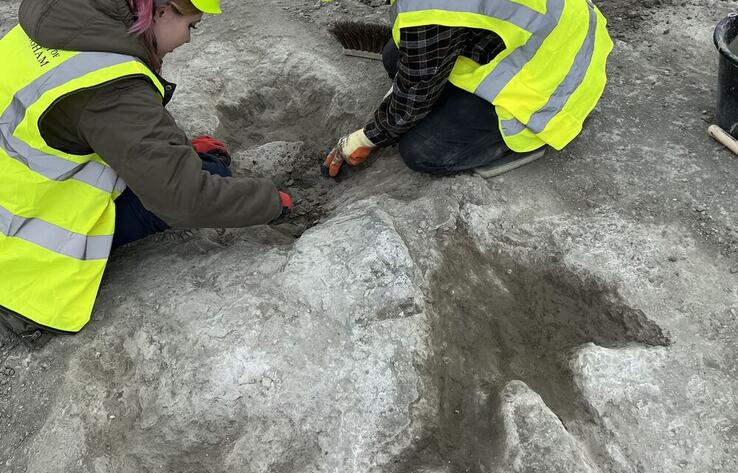 166-million-year-old dinosaur footprints unearthed in Oxfordshire