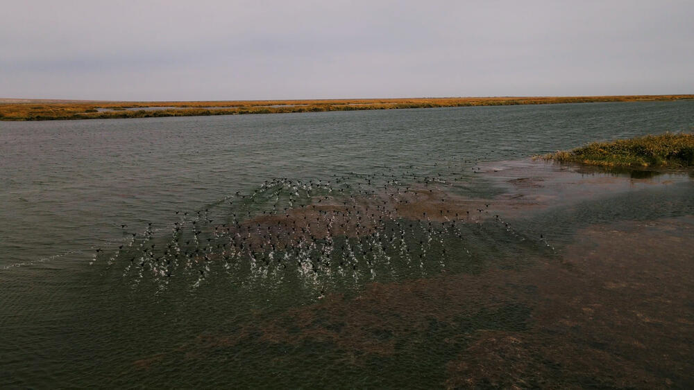 На 42% увеличен объем воды в Северном Арале