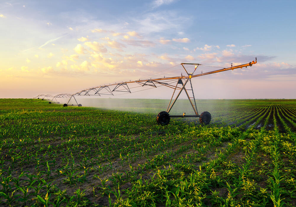 Kazakhstan intends to increase yields in agriculture by introducing digital technologies