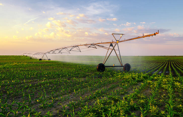 Kazakhstan intends to increase yields in agriculture by introducing digital technologies