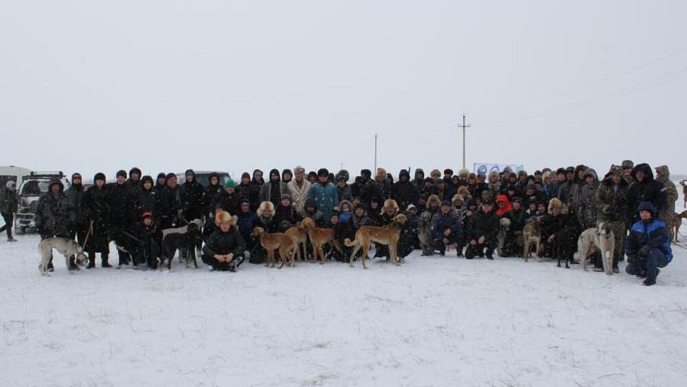 Бұқар жырау ауданында ашық жарыста ең жүйрік тазылар жарысты