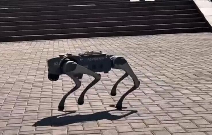 Kazakhstan shows off unique robot dog in Digital forum